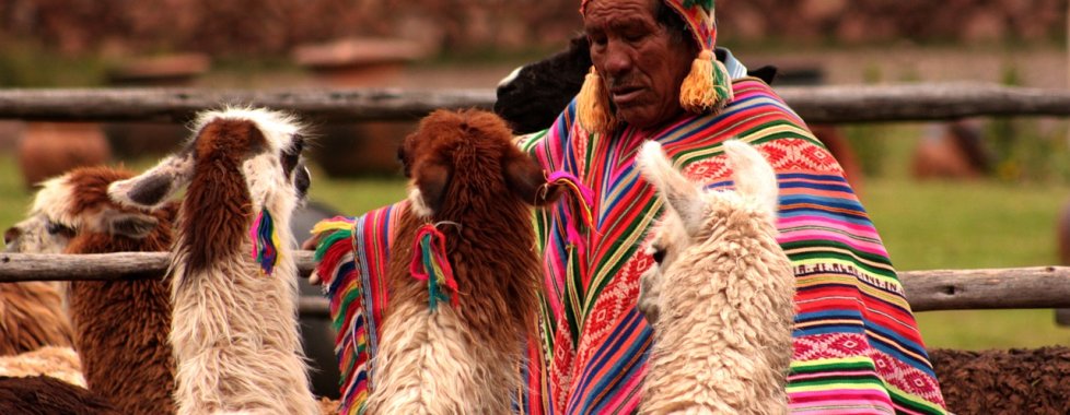 Contadini e lamas