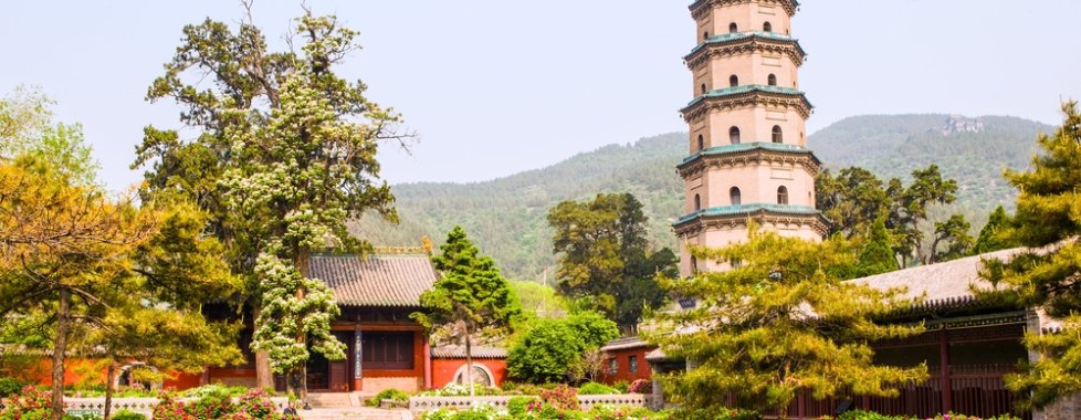 Cina prospera 4