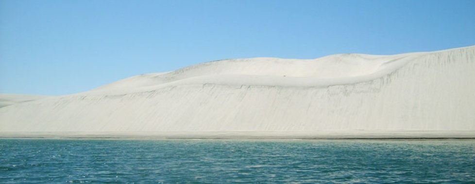 Guerrero Negro