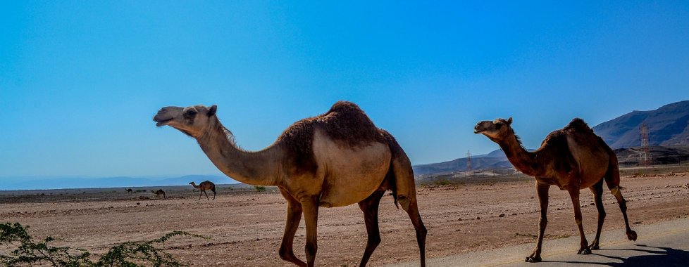 Oman