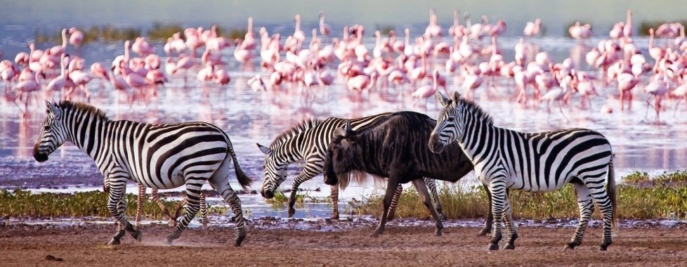 Cratere di Ngorongoro