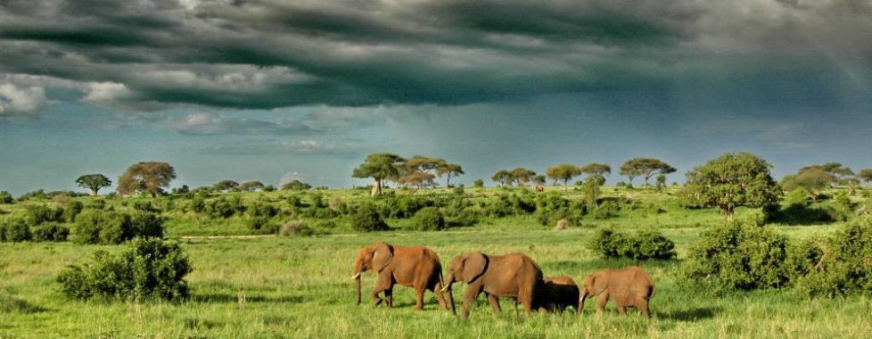 Tarangire National Park