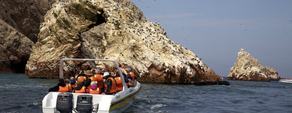 Ballestas 1