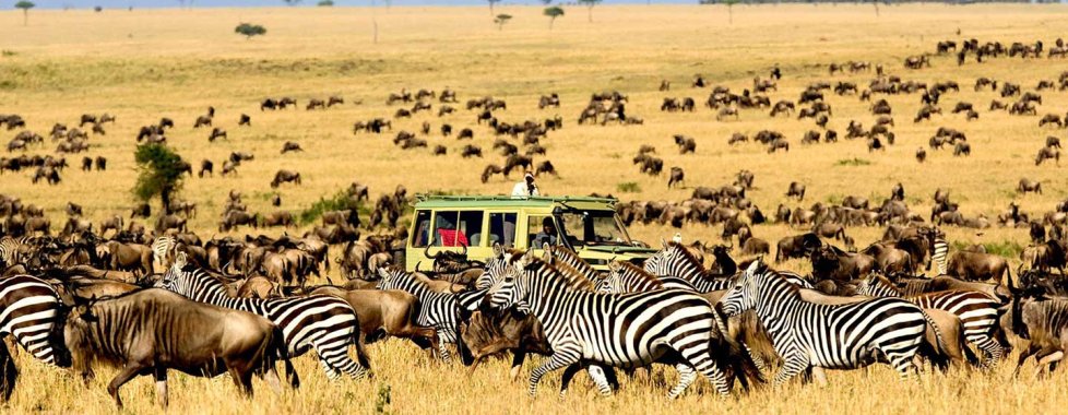 Serengeti
