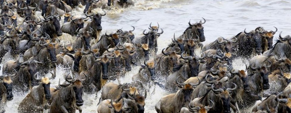 Serengeti
