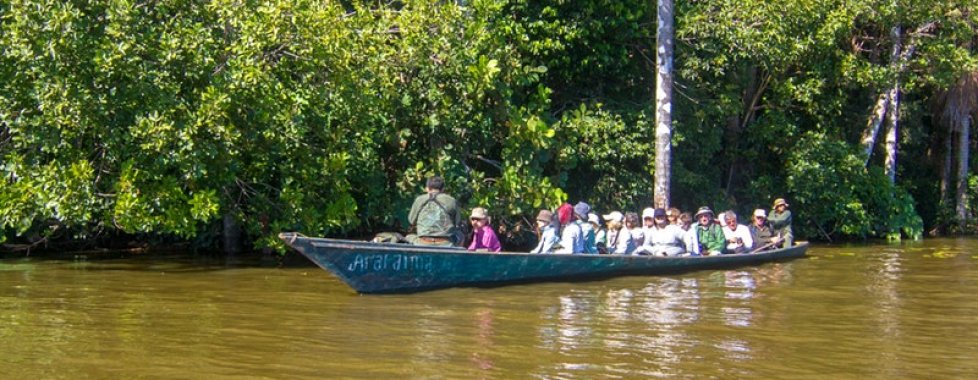 Tambopata 1