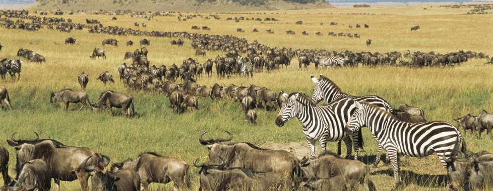 Tanzania