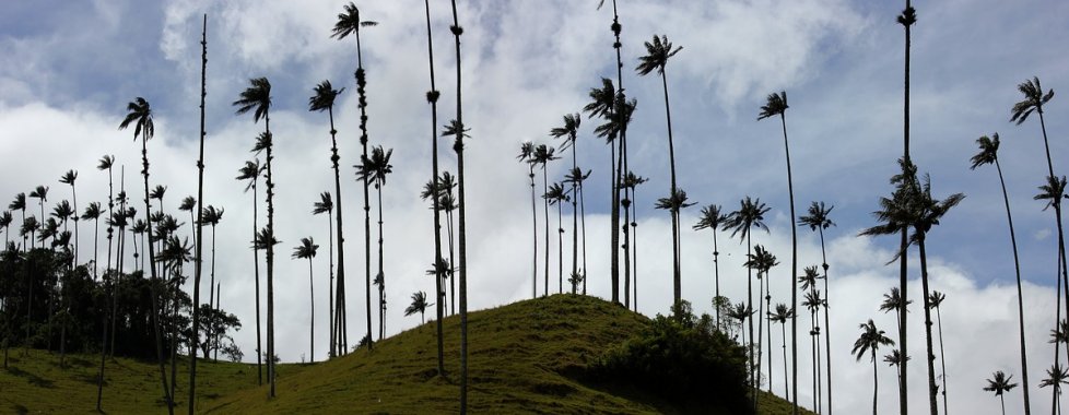 Colombia