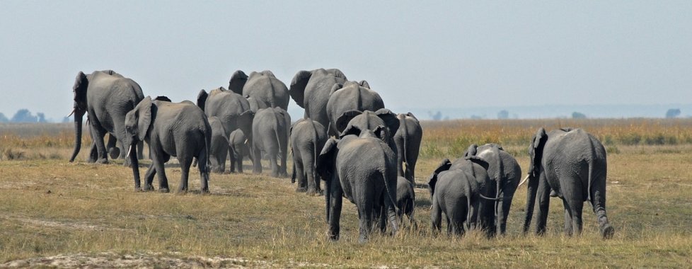 Botswana