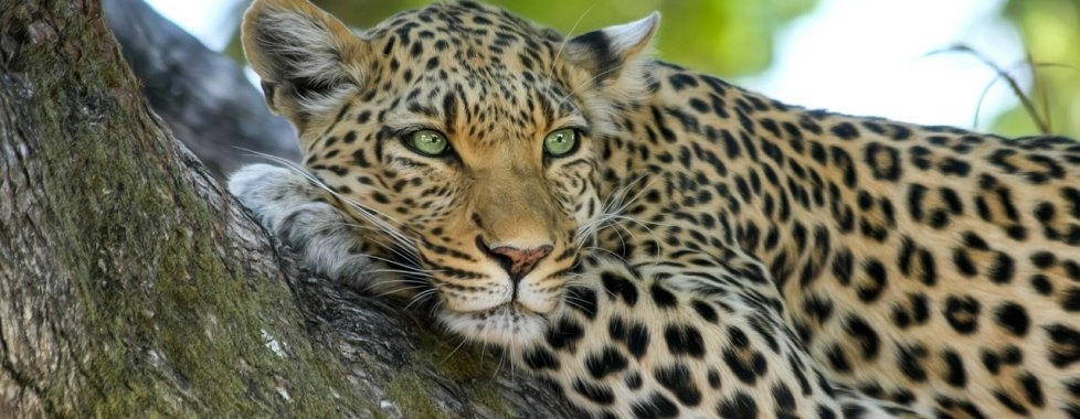 Botswana