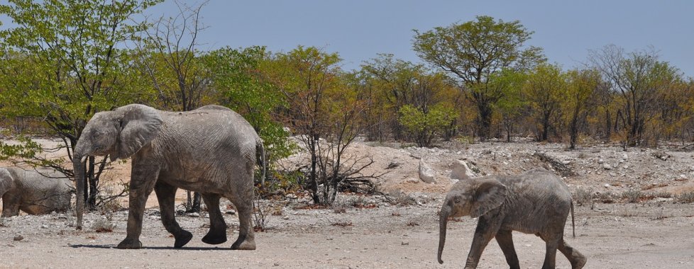 Namibia