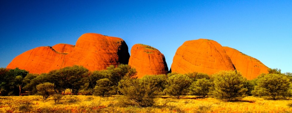 Olgas
