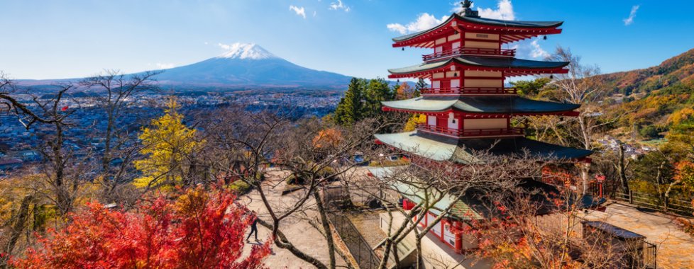 Mt. Fuji