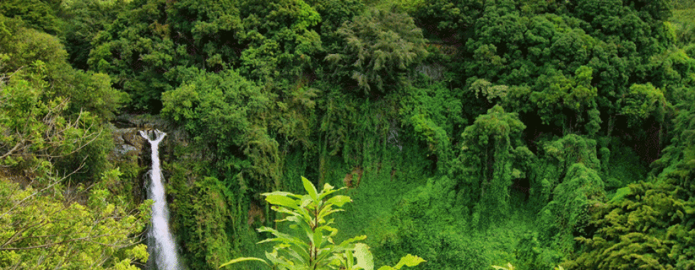 Mondulkiri