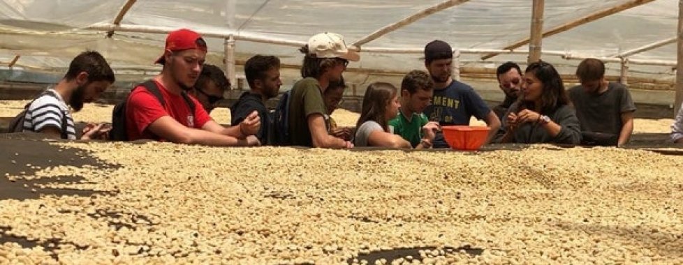 Haciedna del caffè visita 