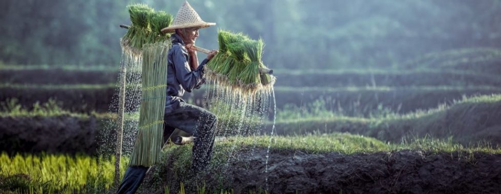 Campagna Cambogiana