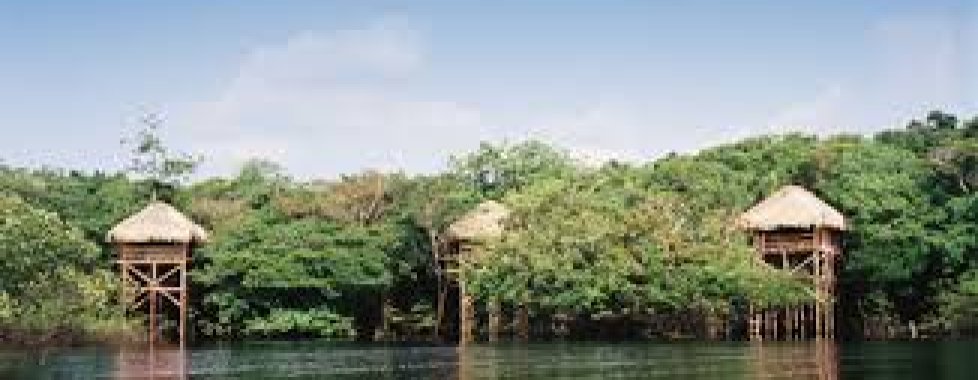 Amazzonia