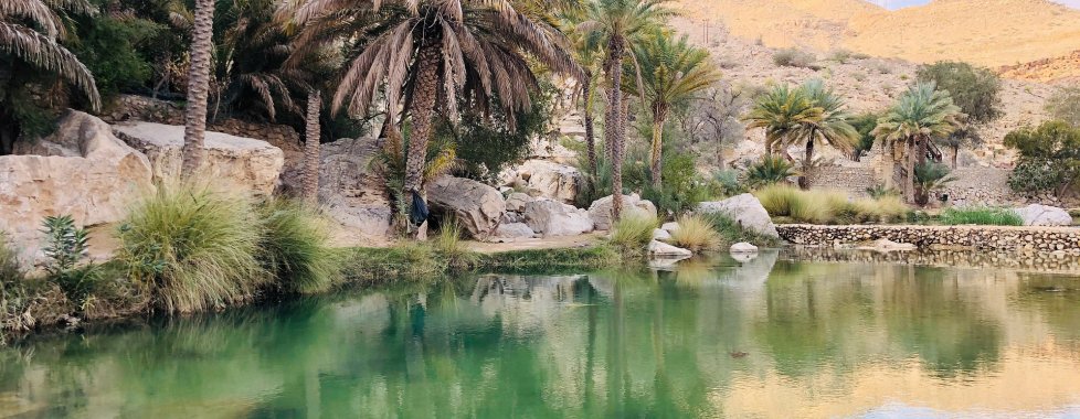 OMAN WADI