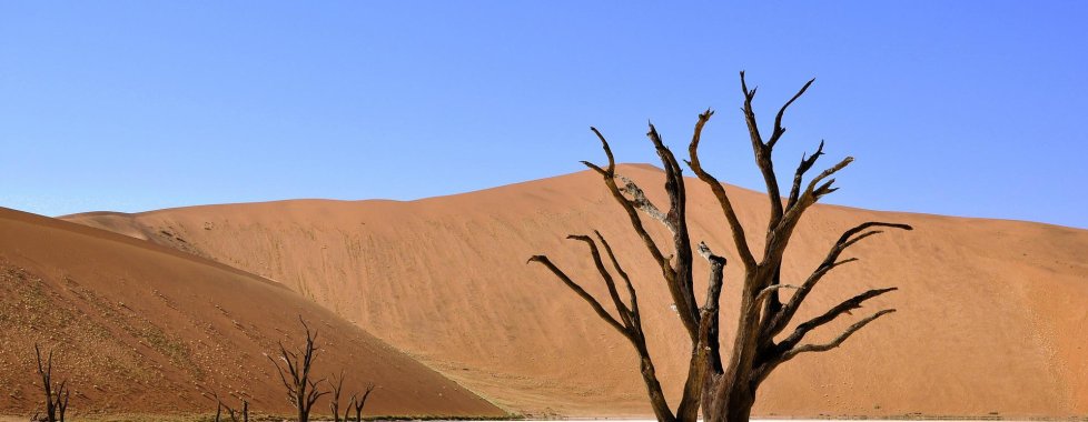 deadvlei