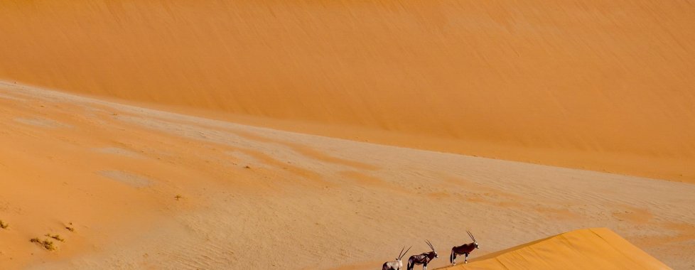 Kalahari