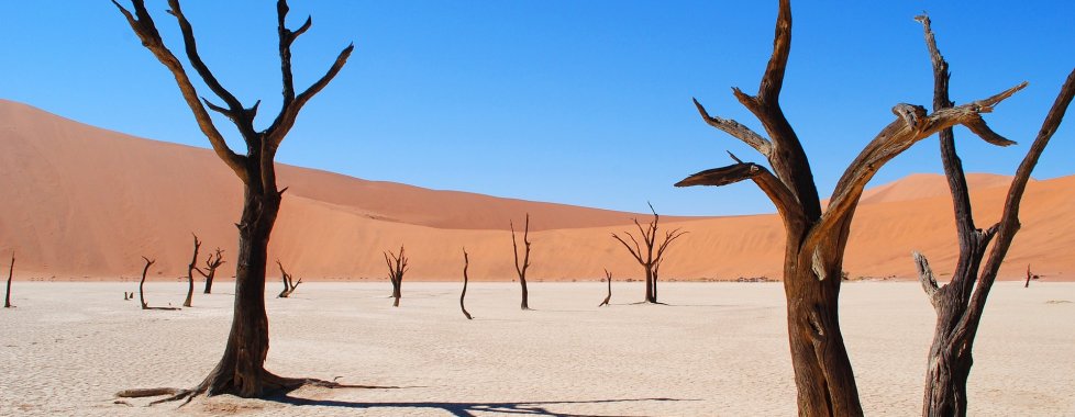 deadvlei