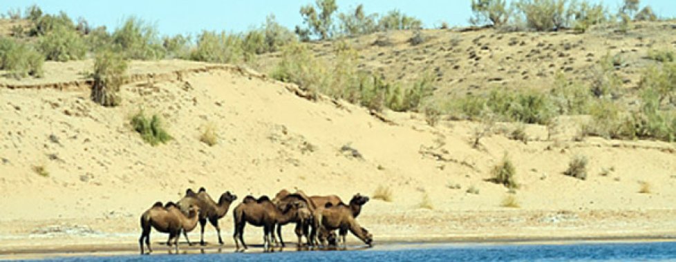 Aydar Kul Lake