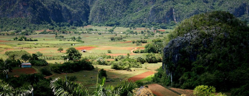 Vinales