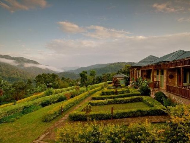 immagine BWINDI NATIONAL PARK, SILVERBACK LODGE