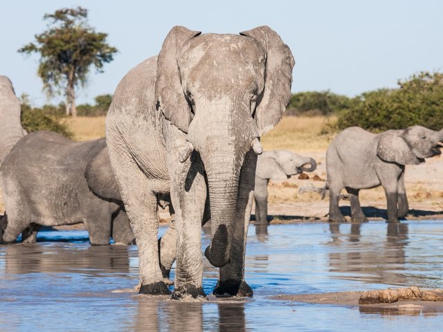 Botswana