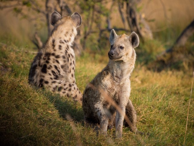 Botswana