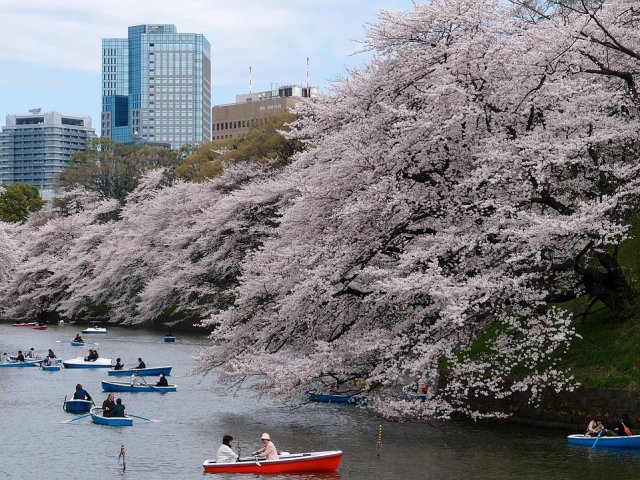 Tokyo