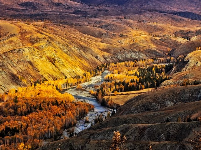 Cina