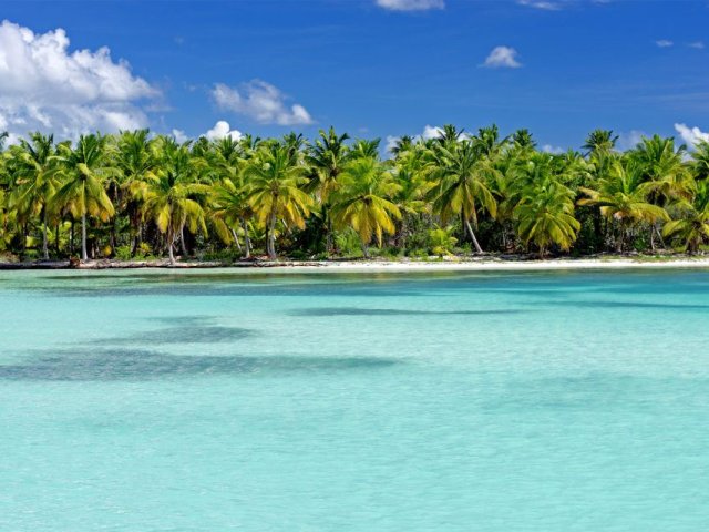 Saona