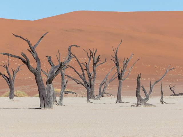 Namibia