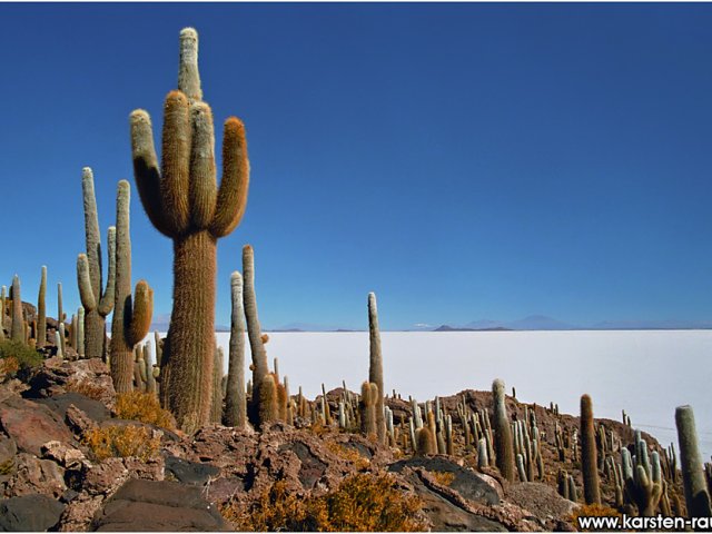 Argentina, Bolivia e Cile. Todos Salares