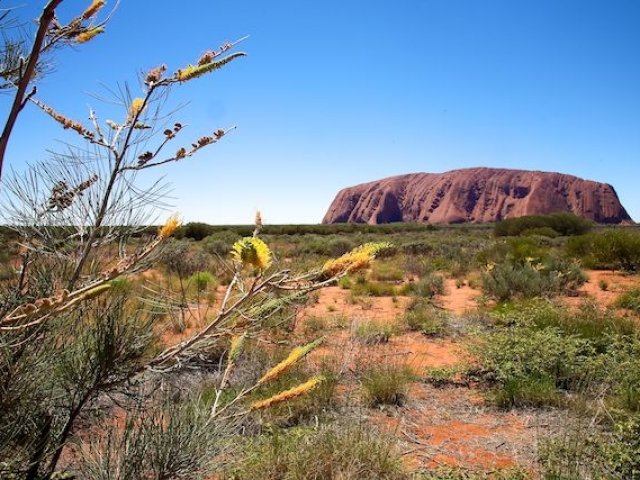 Uluru e Kata Tjuta in safari tendati 