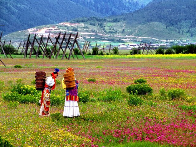 TOUR NELLO YUNNAN