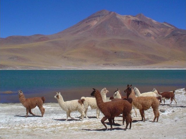 TOUR DEL CILE DALLE ANDE AL PACIFICO LS