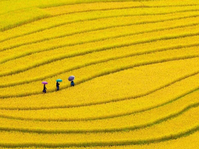 TOUR VIETNAM INEDITO