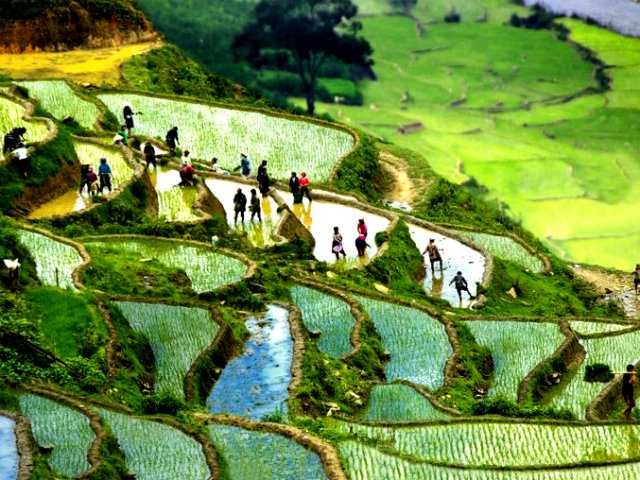 TOUR VIETNAM SMERALDO