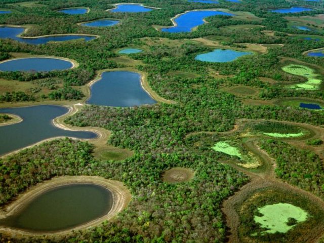 Brasile classico e Pantanal