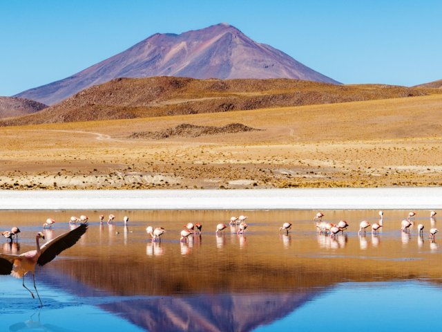 TOUR BOLIVIA IL TIBET DELLE ANDE 
