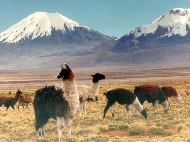 TOUR BOLIVIA E CILE NEL CUORE DEL SALAR
