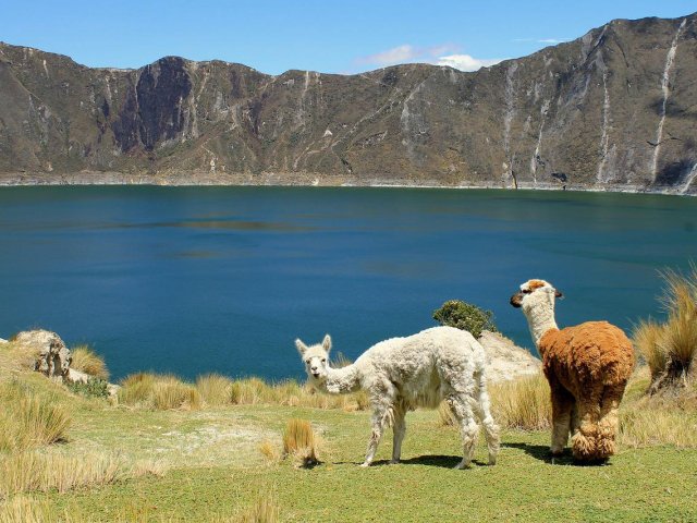 Ecuador e Perù FRA LE ANDE E IL MACHU PICCHU