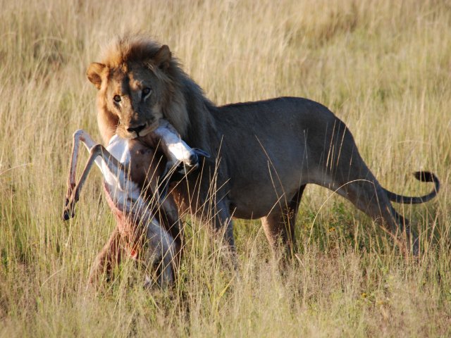 NAMIBIA : GRAN TOUR LE BELLEZZE DELLA NAMIBIA FEBBRAIO