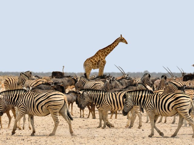 NAMIBIA : GRAN TOUR LE BELLEZZE DELLA NAMIBIA AGOSTO
