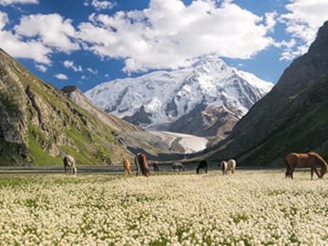 UZBEKISTAN : TOUR KAZAKISTAN E KIRGHIZISTAN : SFUMATURE DI ASIA