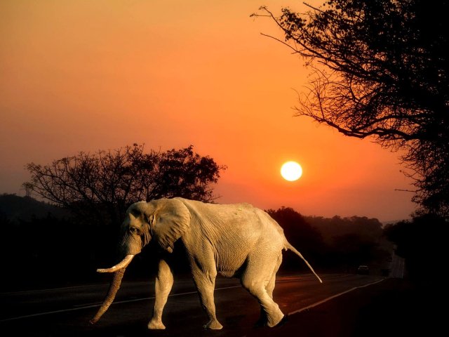 COLORI AFRICANI PANORAMA ROUTE , KRUGER N.P. E ARCIPELAGO DELLE ISOLE BAZARUTO 