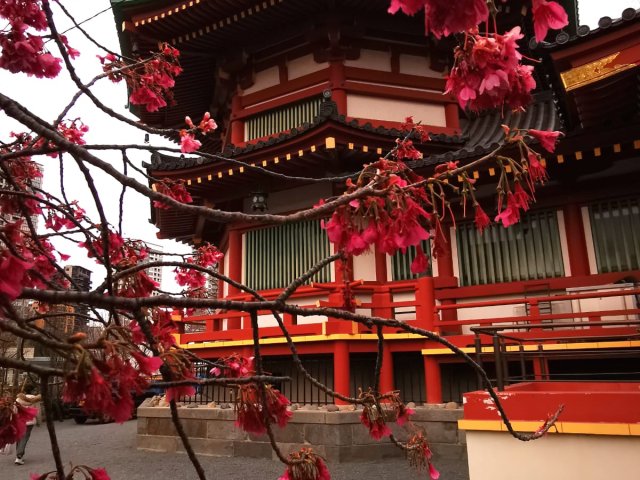 TOUR GIAPPONE SPECIALE AGOSTO CON EXPO OSAKA
