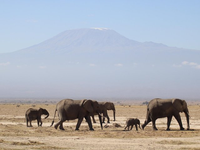 ALLA SCOPERTA DEL VERO KENYA TRA SAFARI E MARE